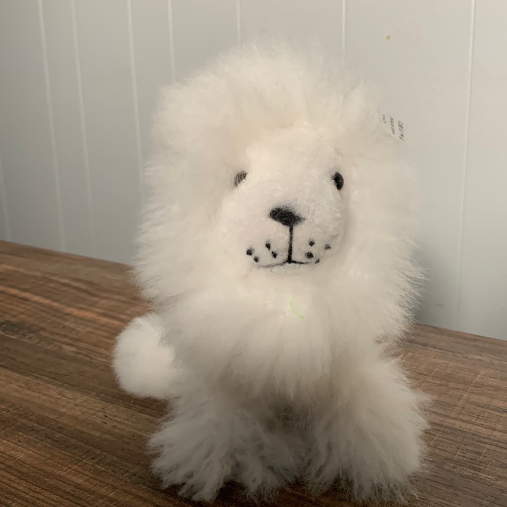 Cute white lion